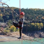 ツリーイングの様子