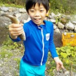 川で魚の手づかみに挑戦! 川で魚の手づかみ