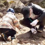 親子でクリスタル(水晶)採集に挑戦!たくさん拾い集めよう! 親子でクリスタル(水晶)採集に挑戦!たくさん拾い集めよう!