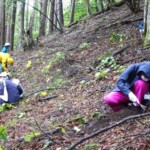 きっとここを掘れば水晶が見つかるはず きっとここを掘れば水晶が見つかるはず