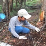 この木の下があやしいぞ この木の下があやしいぞ