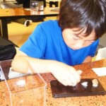 採集した水晶を標本にしています 採集した水晶を標本にしています