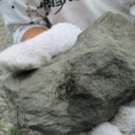 こんな化石見つけたよ!