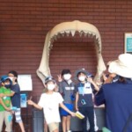 こんな巨大なサメがいたら飲み込まれる!