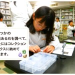 コレクション